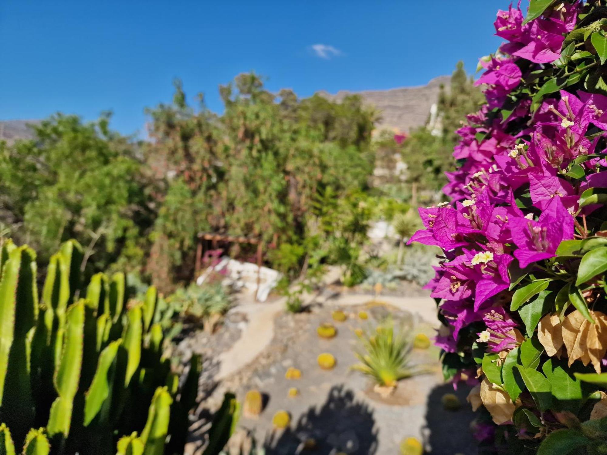 Holiday home Historica Casa Con Vistas Al Jardin De Cactus Y Montanas *