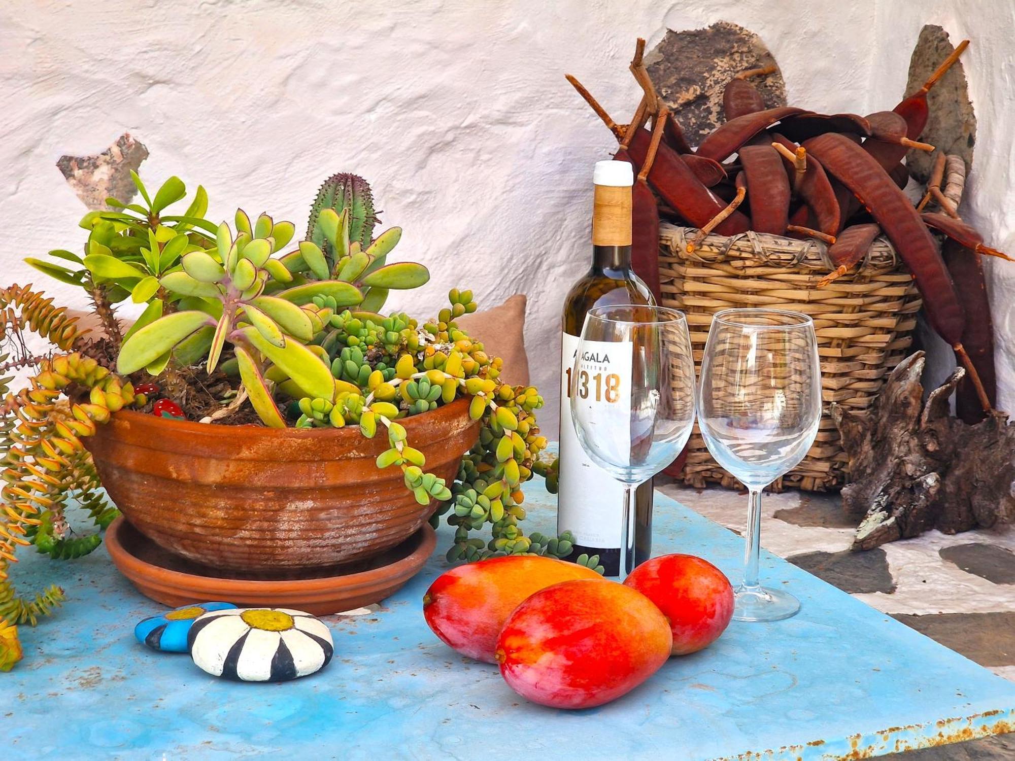 Historica Casa Con Vistas Al Jardin De Cactus Y Montanas Holiday home